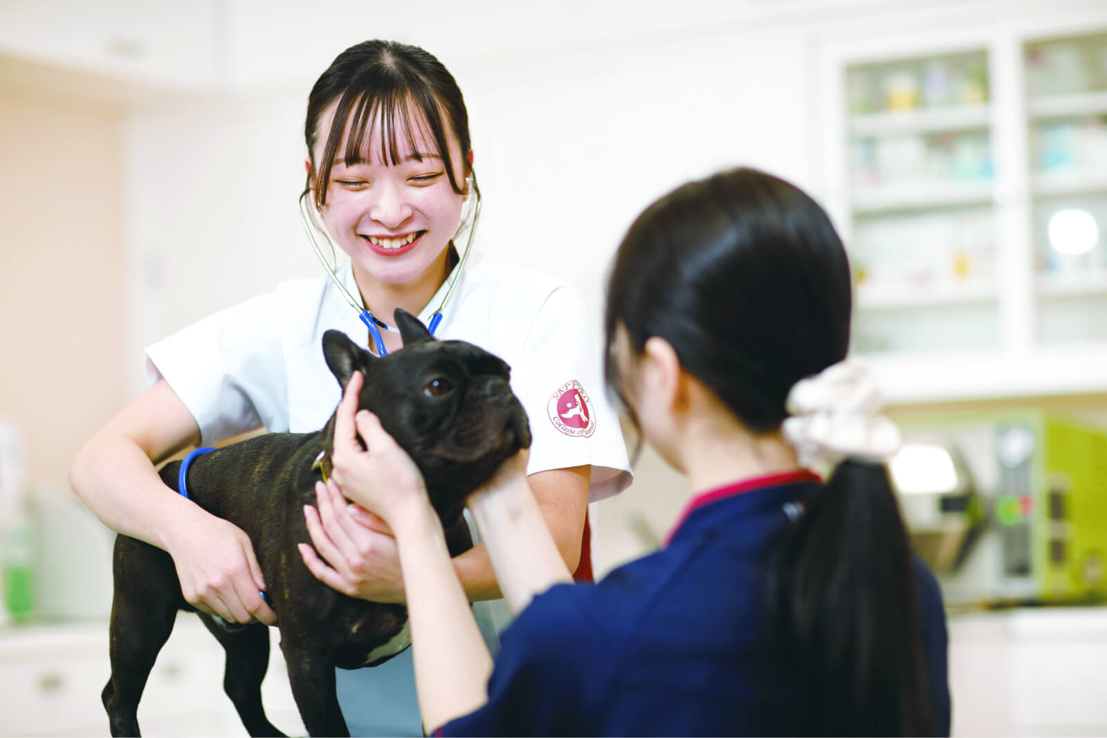 愛玩動物看護師の養成所。愛玩動物看護教育は35年の実績！